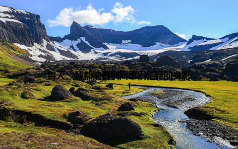 每天, 我都能看到同事们忙碌的身影