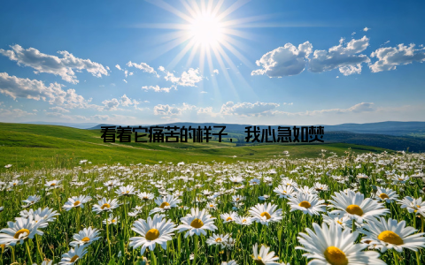 看着它痛苦的样子, 我心急如焚