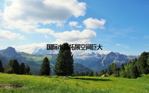 国际市场拓展空间巨大