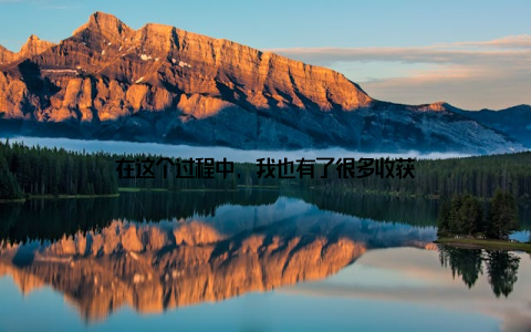 在这个过程中, 我也有了很多收获