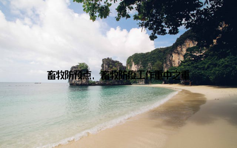 畜牧防预点, 畜牧防疫工作重中之重