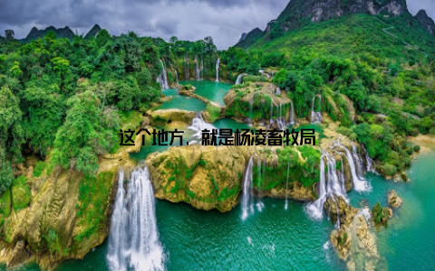 这个地方, 就是杨凌畜牧局