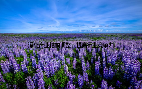 深化产业结构调整, 提高行业竞争力