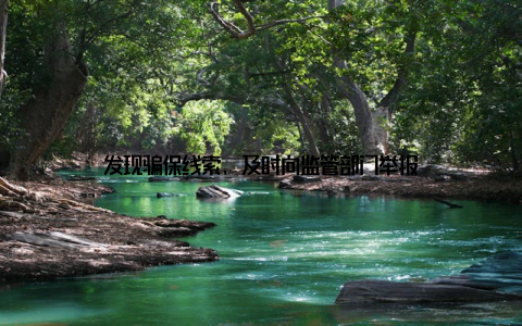发现骗保线索, 及时向监管部门举报