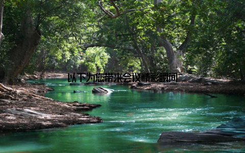 以下为您带来会议精彩瞬间