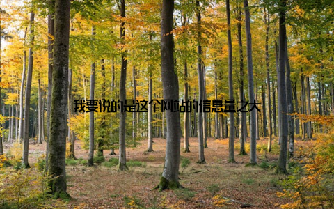 我要说的是这个网站的信息量之大