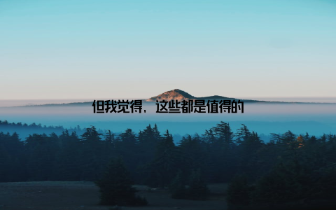 但我觉得, 这些都是值得的