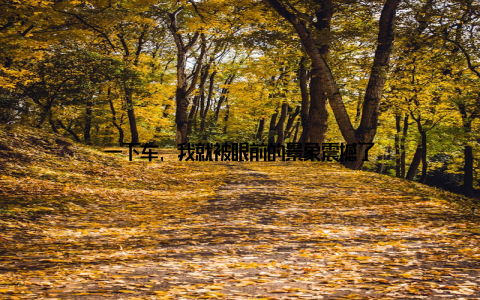 一下车, 我就被眼前的景象震撼了