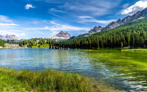 我要说的是食品安全