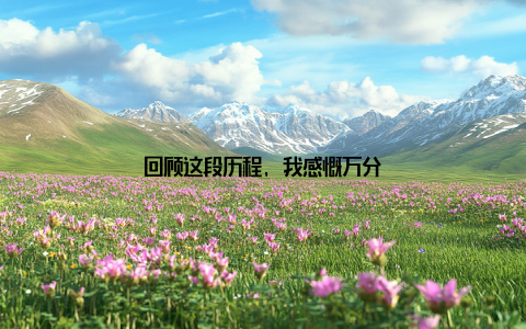 回顾这段历程, 我感慨万分