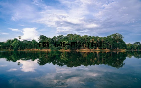 创新, 是我一直追求的目标