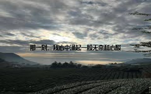 那一刻, 我心中涌起一股无奈和心酸