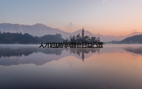 人才短缺的问题也日益凸显