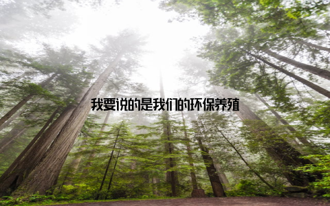 我要说的是我们的环保养殖