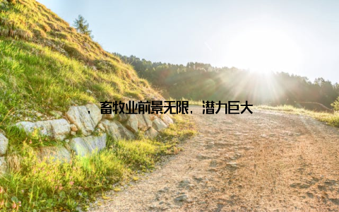 , 畜牧业前景无限, 潜力巨大