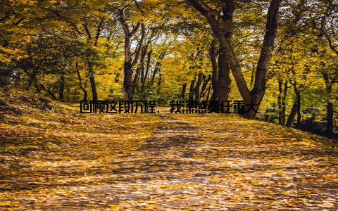 回顾这段历程, 我深感责任重大