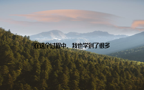 在这个过程中, 我也学到了很多