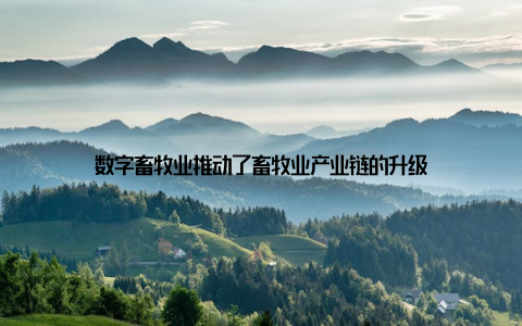 数字畜牧业推动了畜牧业产业链的升级