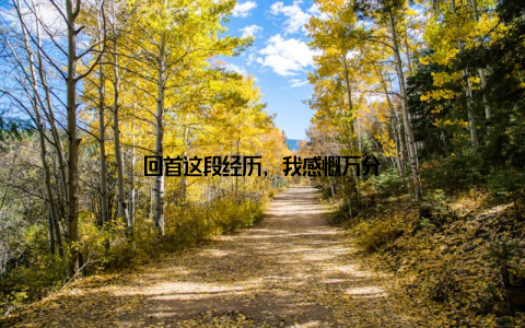 回首这段经历, 我感慨万分