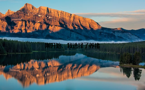 刚开始, 我选择了养猪