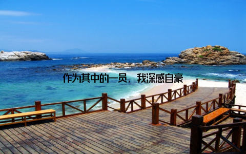 作为其中的一员, 我深感自豪