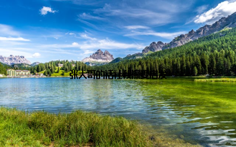 张大哥的话让我深受启发