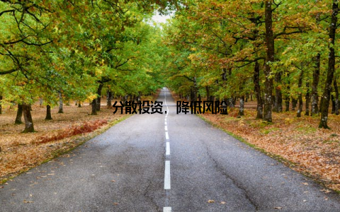 分散投资, 降低风险