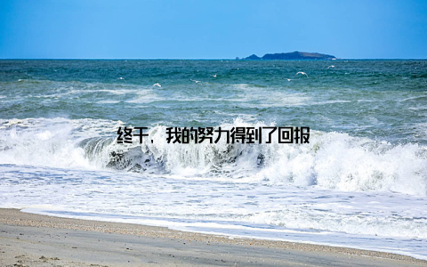 终于, 我的努力得到了回报