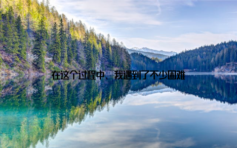 在这个过程中, 我遇到了不少困难