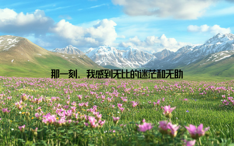 那一刻, 我感到无比的迷茫和无助