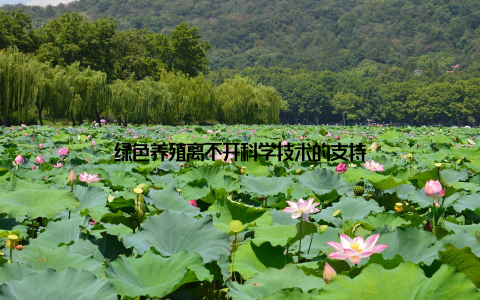 绿色养殖离不开科学技术的支持