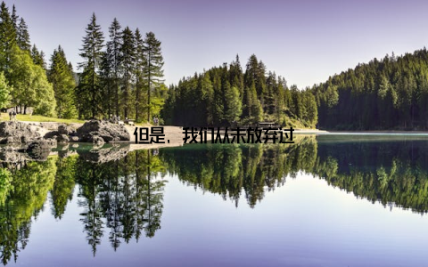 但是, 我们从未放弃过