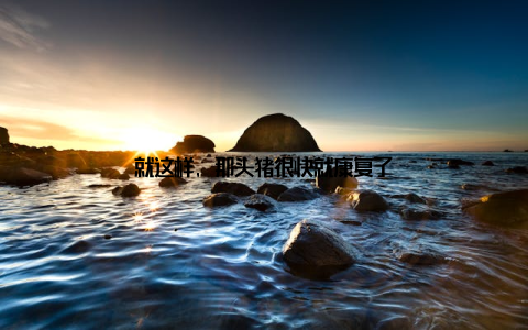 就这样, 那头猪很快就康复了